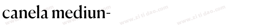 canela mediun字体转换